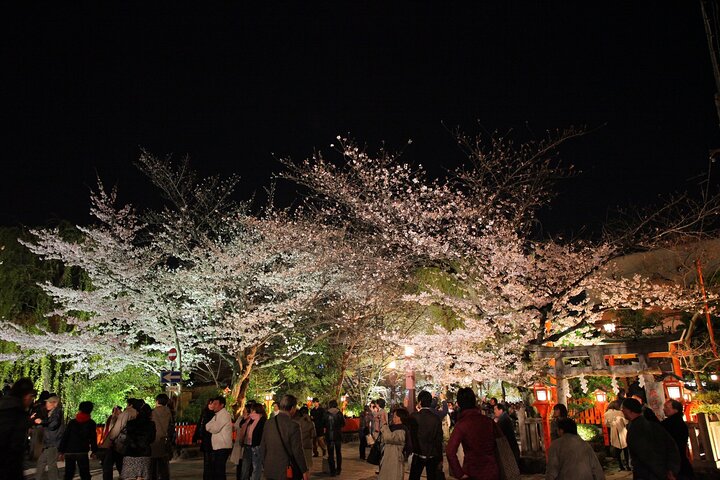Passeio noturno a pé pelo histórico distrito das gueixas de Gion, em Kyoto, explorando templos e ruas tradicionais, foto 9 | wizardtrip