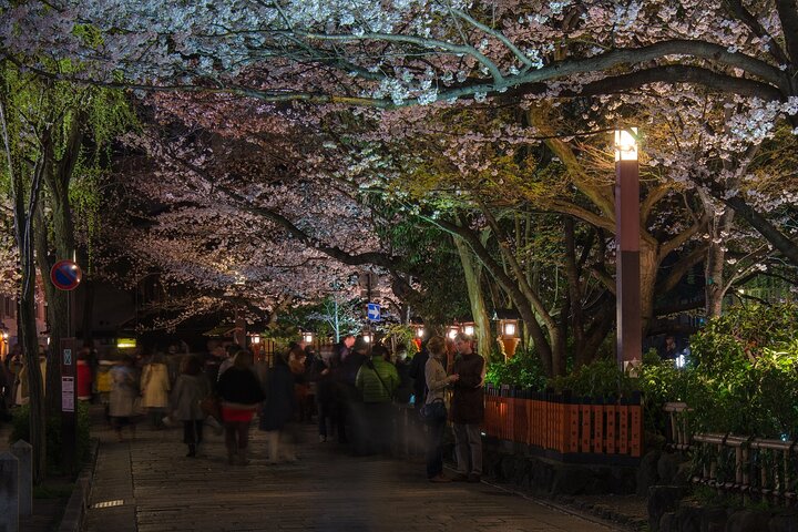Passeio noturno a pé pelo histórico distrito das gueixas de Gion, em Kyoto, explorando templos e ruas tradicionais, foto 10 | wizardtrip