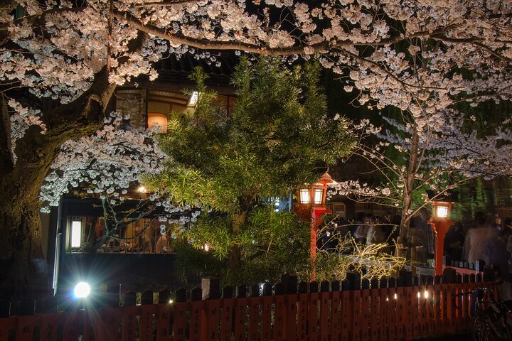 Passeio noturno a pé pelo histórico distrito das gueixas de Gion, em Kyoto, explorando templos e ruas tradicionais, foto 11 | wizardtrip
