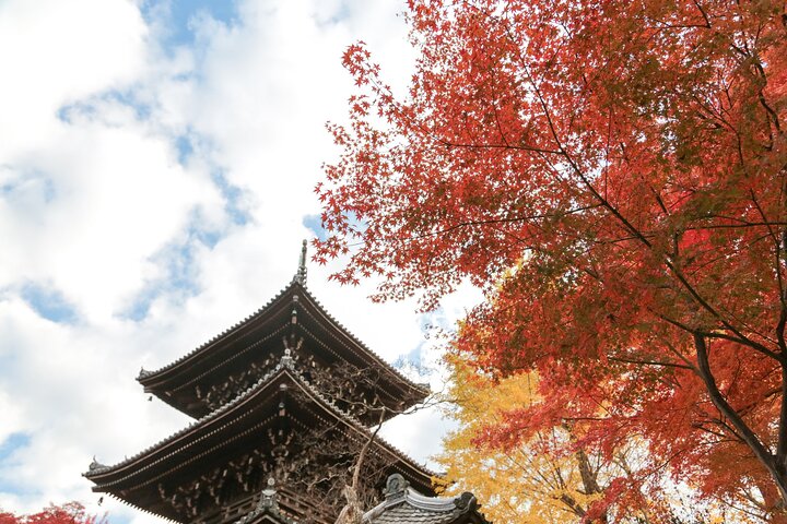 Passeio noturno a pé pelo histórico distrito das gueixas de Gion, em Kyoto, explorando templos e ruas tradicionais, foto 26 | wizardtrip