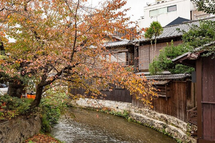 Passeio noturno a pé pelo histórico distrito das gueixas de Gion, em Kyoto, explorando templos e ruas tradicionais, foto 27 | wizardtrip