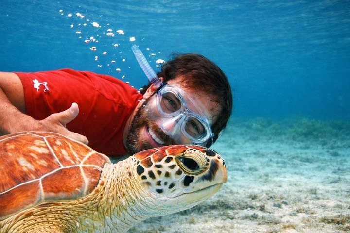 Avventura a Culebra: Snorkeling con Tartarughe e Spiaggia Flamenco in Traghetto | wizardtrip