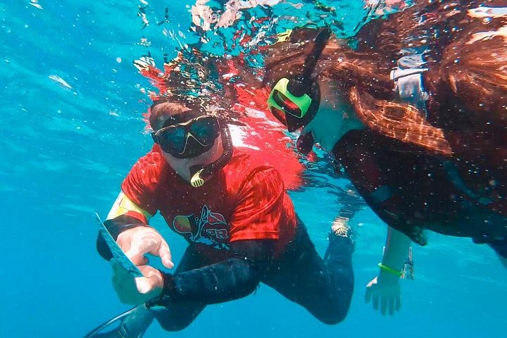 Aventura de dia inteiro na Ilha de Culebra com snorkel, tartarugas marinhas e Praia Flamenco, foto 12 | wizardtrip