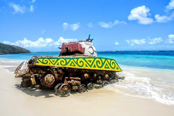Aventura de dia inteiro na Ilha de Culebra com snorkel, tartarugas marinhas e Praia Flamenco, foto 16 | wizardtrip