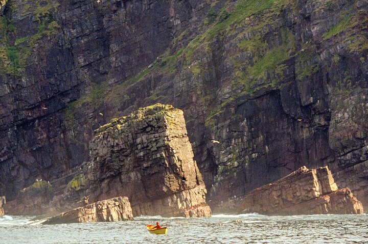 Bådtur i Newfoundland for at se lunder, hvaler og isbjerge, foto 12 | wizardtrip
