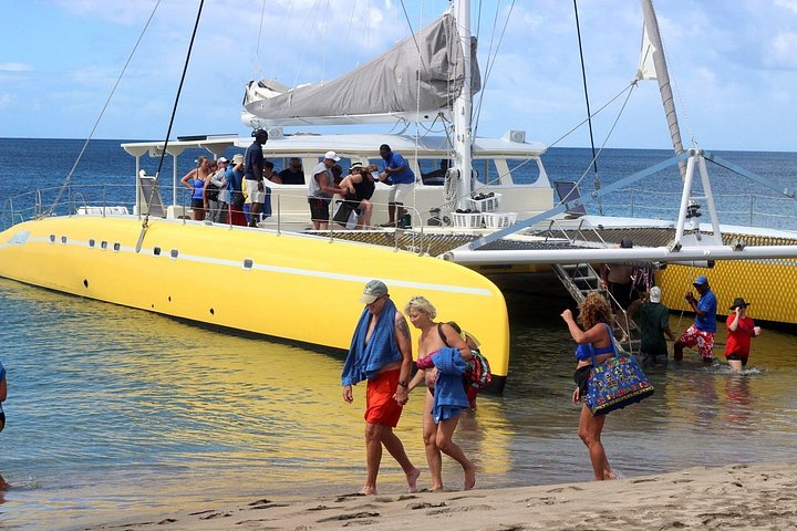 Excursion en catamaran et snorkeling de St. Kitts à Nevis, avec plages et vie marine, photo 9 | wizardtrip