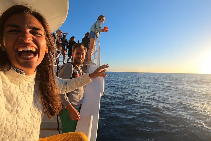 Walbeobachtungstour in Hervey Bay, Australien, mit Buckelwalen und Delfinen, Foto 8 | wizardtrip