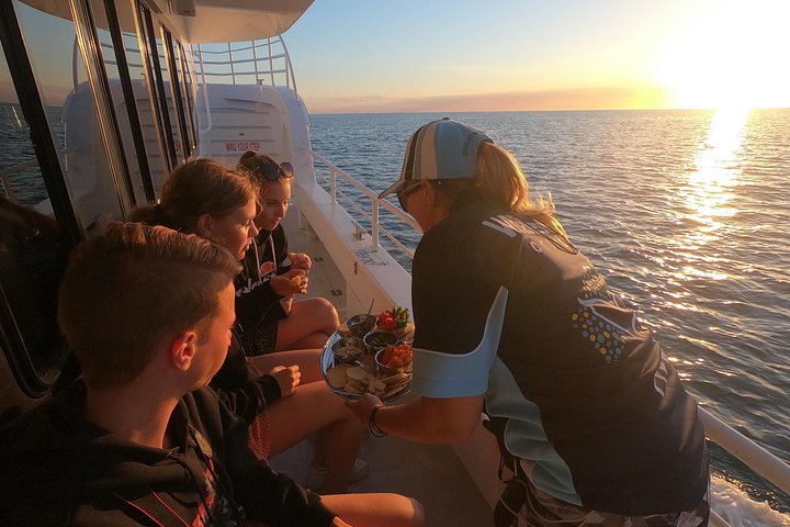 Walbeobachtungstour in Hervey Bay, Australien, mit Buckelwalen und Delfinen, Foto 11 | wizardtrip