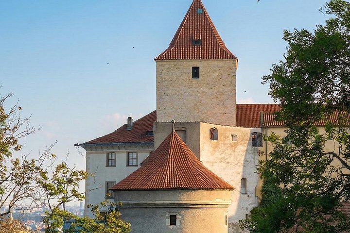 Visita guiada a pie por el Castillo de Praga, incluyendo la Catedral de San Vito y el Callejón del Oro, foto 25 | wizardtrip