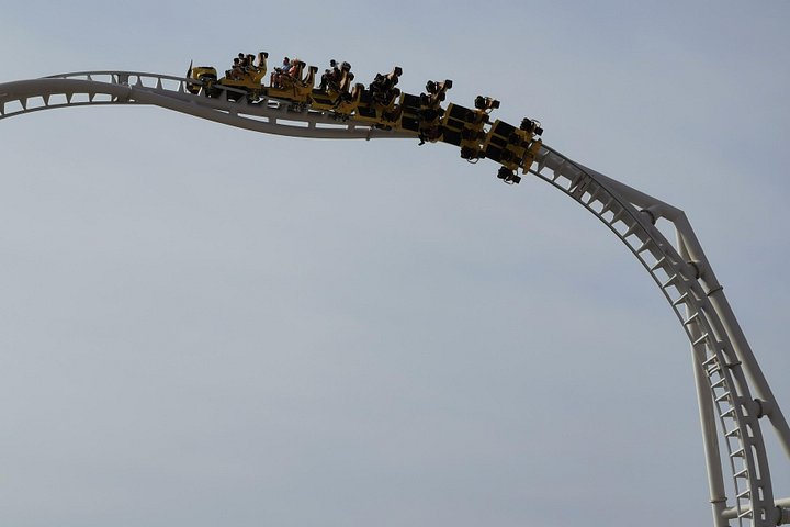 Passeio de dia inteiro de Dubai para Abu Dhabi, com locais culturais e o parque temático Ferrari World, foto 35 | wizardtrip