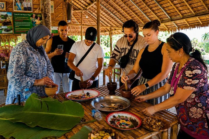 Bezoek aan een ethisch olifantenreservaat in Phuket, Thailand, met observatie- en voederingsmogelijkheden, foto 7 | wizardtrip