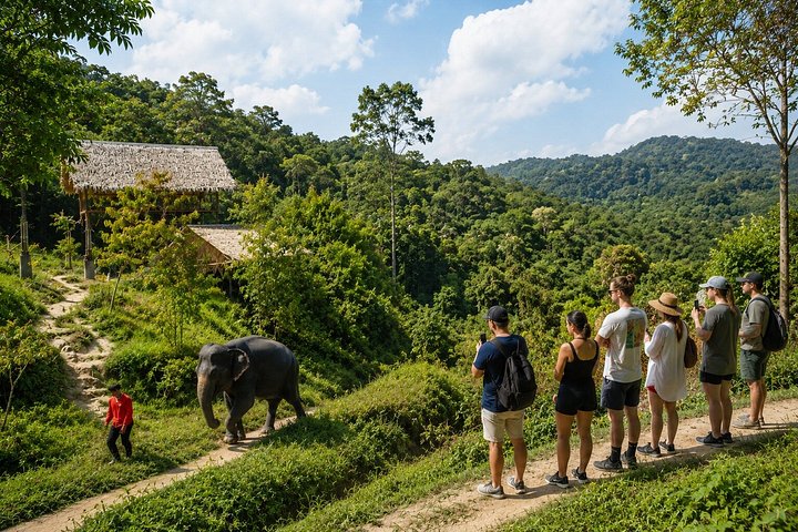 Bezoek aan een ethisch olifantenreservaat in Phuket, Thailand, met observatie- en voederingsmogelijkheden, foto 10 | wizardtrip