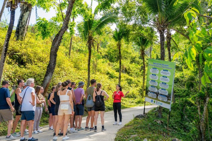 Bezoek aan een ethisch olifantenreservaat in Phuket, Thailand, met observatie- en voederingsmogelijkheden, foto 12 | wizardtrip