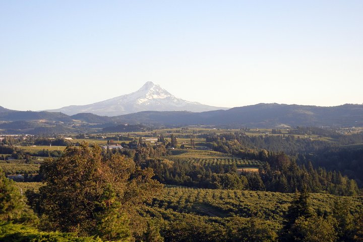 Tur i Columbia River Gorge og Mount Hood fra Portland, med vandfald, naturskønne udsigter og Timberline Lodge, foto 7 | wizardtrip