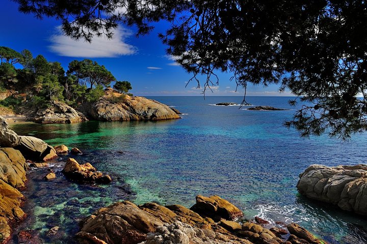 Kleingruppentour, die das mittelalterliche Girona und die malerische Küste der Costa Brava von Barcelona aus erkundet, Foto 15 | wizardtrip