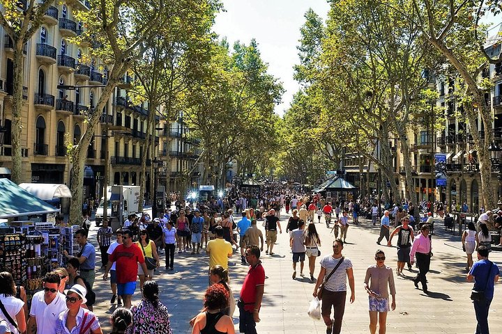 Private tour of Barcelona's iconic Park Guell and Sagrada Familia with guided exploration, photo 18 | wizardtrip
