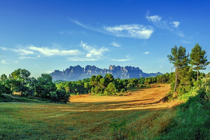 Tour privado al Monasterio de Montserrat desde Barcelona con impresionantes vistas a la montaña, foto 17 | wizardtrip