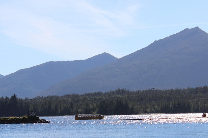 Excursion en bus et bateau amphibie à Ketchikan, Alaska, offrant des vues sur le port, photo 6 | wizardtrip