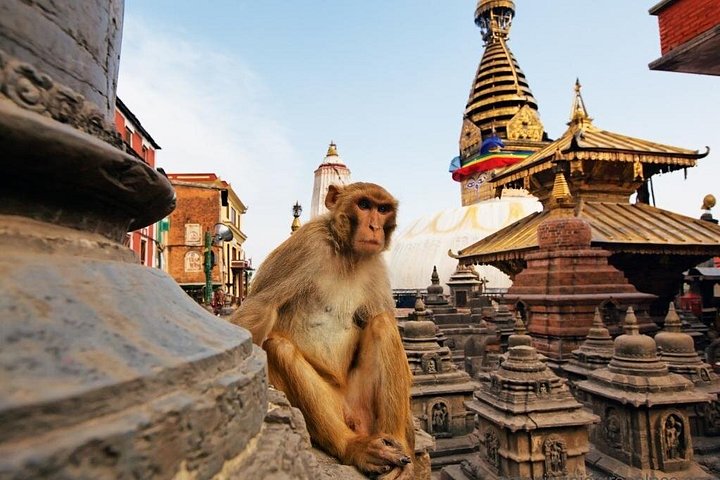 Kathmandu sightseeing tur med UNESCO Verdensarvssteder, templer og kulturelle vartegn, foto 13 | wizardtrip
